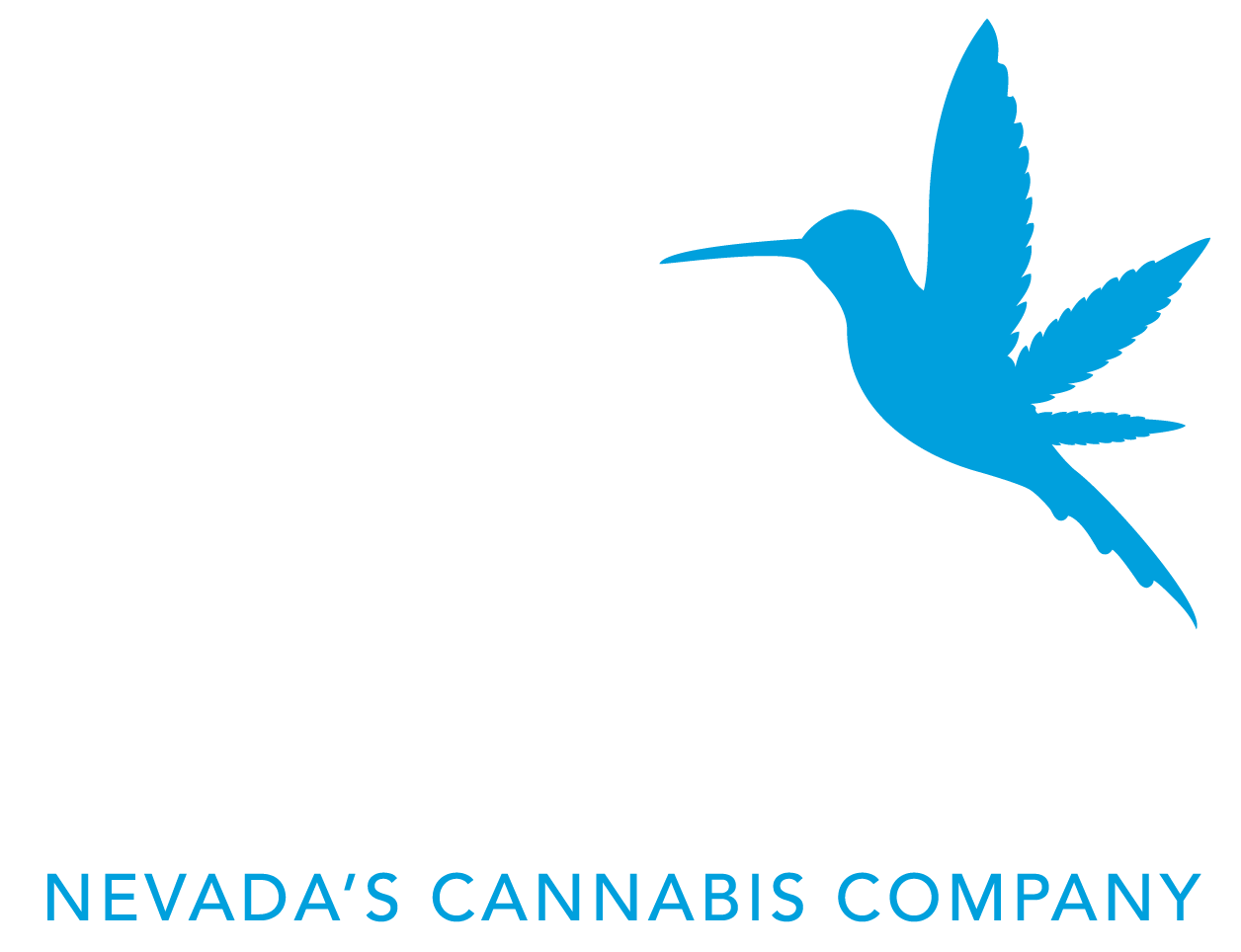 logo-footer